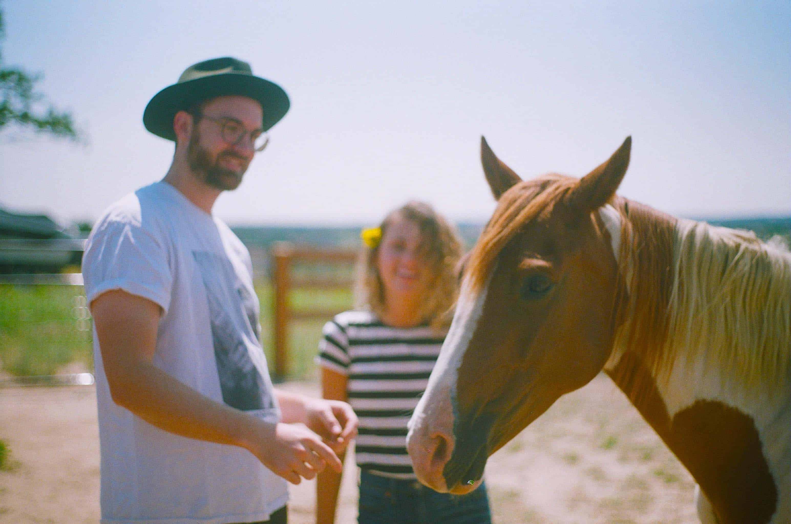 Equine Therapy