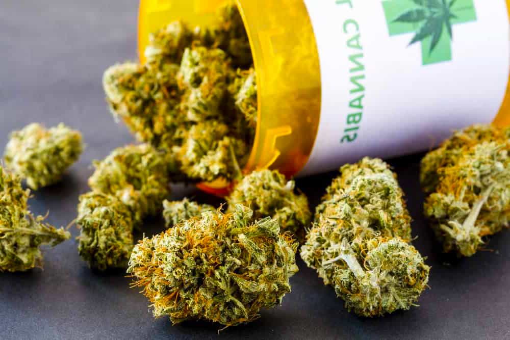 What is Marijuana?