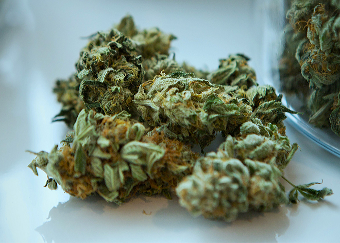 Weed